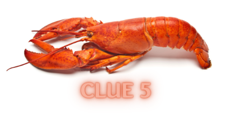 CLUE 13