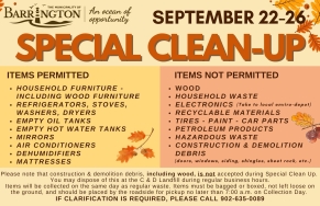 Special/Fall Clean-Up
